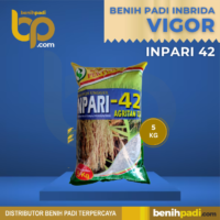 Benih Padi Inbrida Merk VIGOR INPARI 42