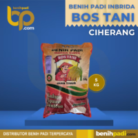 Benih Padi Inbrida Merk BOS TANI Varietas CIHERANG