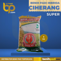 Benih Padi Inbrida  CIHERANG SUPER