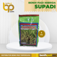 Benih Padi Hibrida SUPADI 56