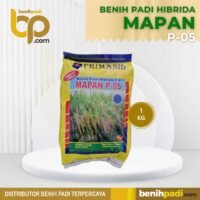 Benih Padi HIBRIDA MAPAN P-05