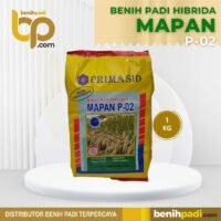 Benih Padi HIBRIDA MAPAN P-02 Produksi PRIMASID