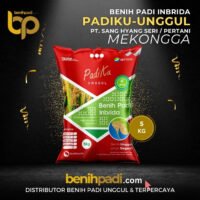 Benih Padi merek PADIKU UNGGUL Varietas Mekongga  Produksi SHS