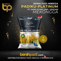 Benih Padi merek PADIKU PLATINUM Varietas Mekongga Produksi SHS