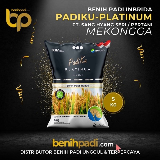BENIH PADI INPARI 32 PADIKU (13) BENIH PADI INPARI 32 PADIKU (13)
