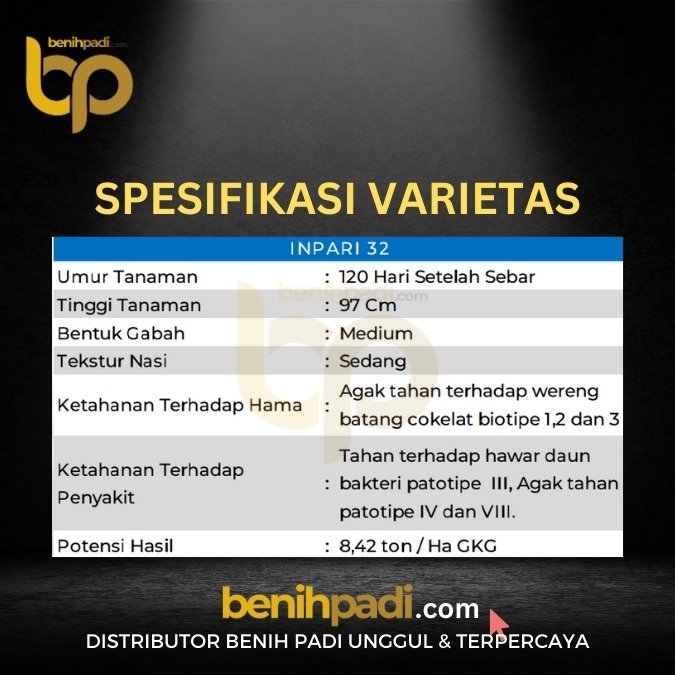 Benih Padi merek PADIKU PLATINIUM Varietas Inpari 32 Produksi SHS - Gambar 3