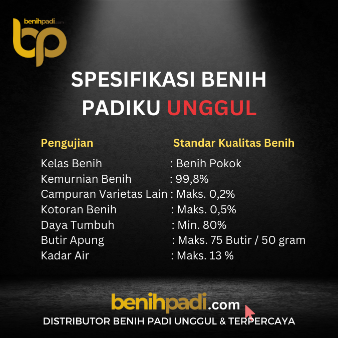 BENIH PADI INPARI 32 PADIKU (2)