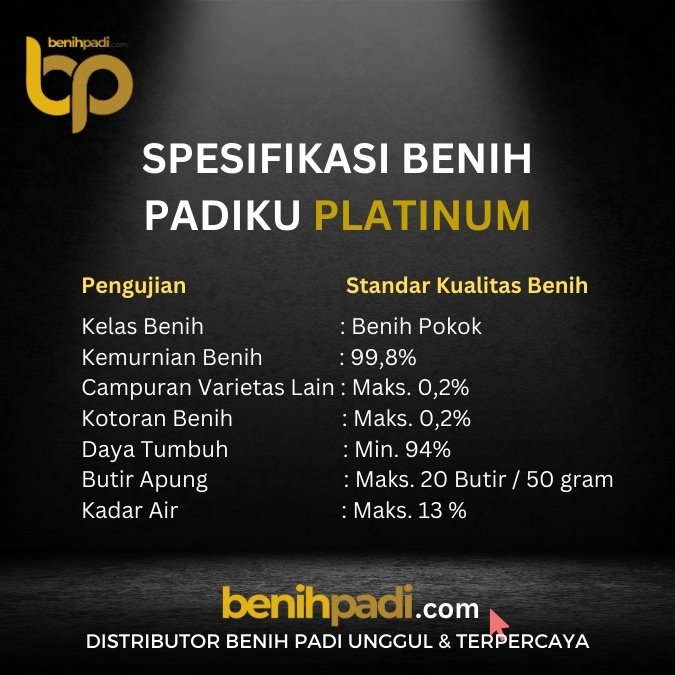 BENIH PADI INPARI 32 PADIKU BENIH PADI INPARI 32 PADIKU