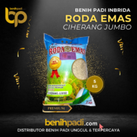 Benih Padi Inbrida Merk RODA EMAS CIHERANG SUPER