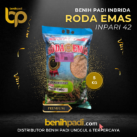 Benih Padi Merk RODA EMAS Varietas inpari 42