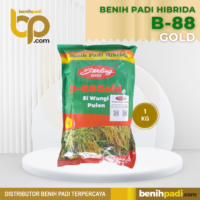 Benih Padi Hibrida Merk B-88 GOLD
