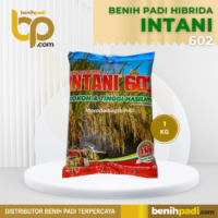 Benih Padi Hibrida Merk INTANI 602
