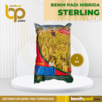 Benih Padi Hibrida Merk SETERLING SL8