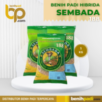 Benih Padi Hibrida Merk SEMBADA 188
