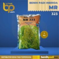 Benih Padi Inbrida Merk MR 323