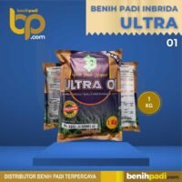 Benih Padi Inbrida Merk ULTRA 01