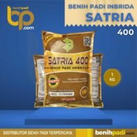 Benih Padi Inbrida Merk SATRIA 400