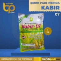 Benih Padi Inbrida Merk KABIR-07