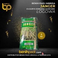 Benih Padi Inbrida Merk JANGER Varietas LOGAWA Produksi SURYA KENCANA AGRIFARM