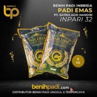 Benih Padi Inbrida Merk PADI EMAS Varietas INPARI 32 Produksi SATRIA AGRA MANDIRI