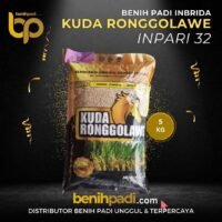 Benih Padi Inbrida Merk KUDA RONGGOLAWE Varietas INPARI 32