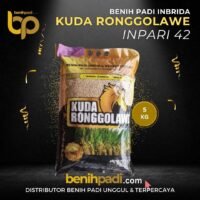 Benih Padi Inbrida Merk KUDA ROGGOLAWE Varietas INPARI 42