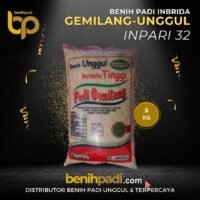 Benih Padi Inbrida Merk GEMILANG UNGGUL Varietas  INPARI 32