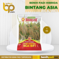 Benih Padi Hibrida Merk BCA 18F1 1 KG Bintang Asia