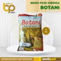 Benih Padi Hibrida Merk BOTANI IPB 9G